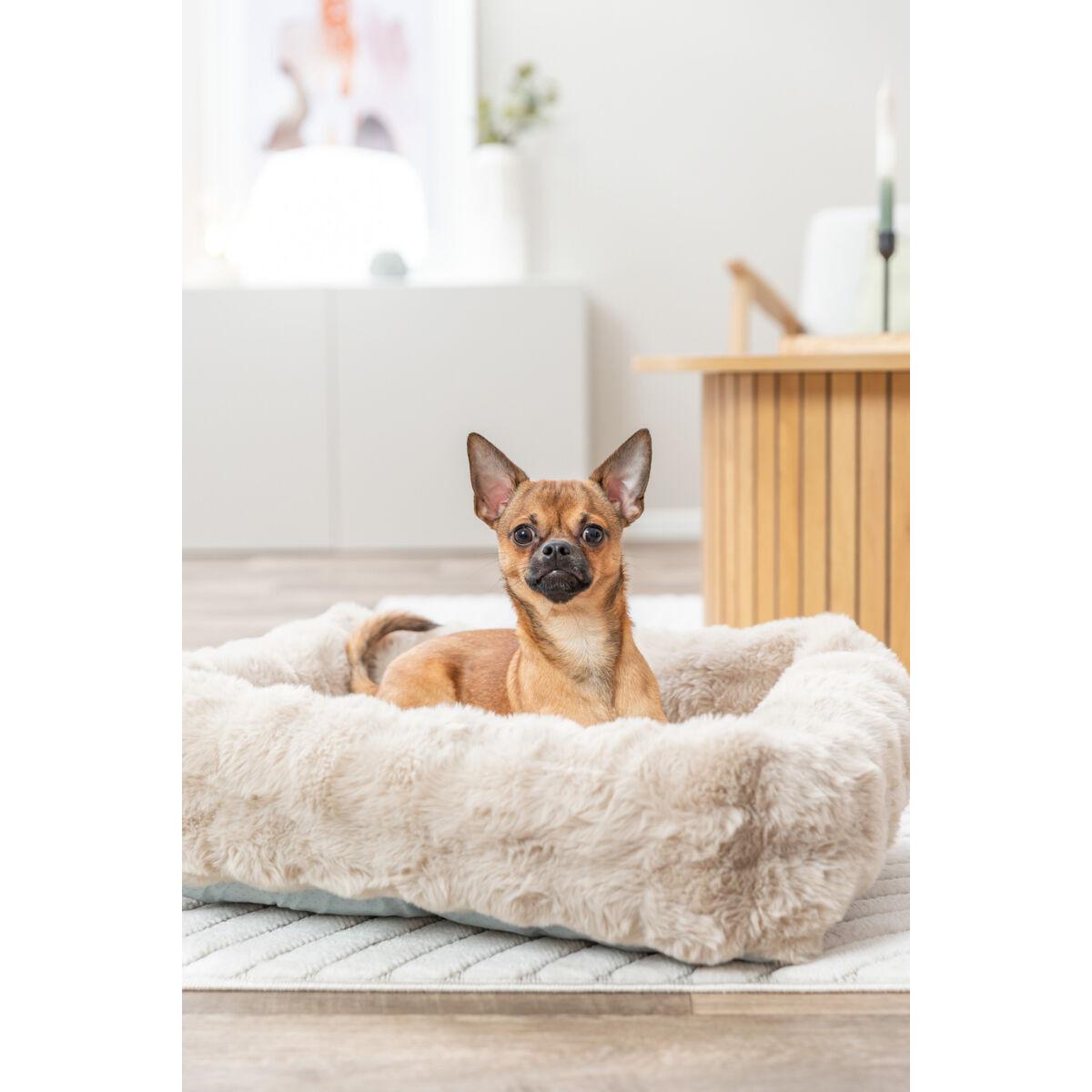 product/t/r/trixie_374080_sable_3.jpg