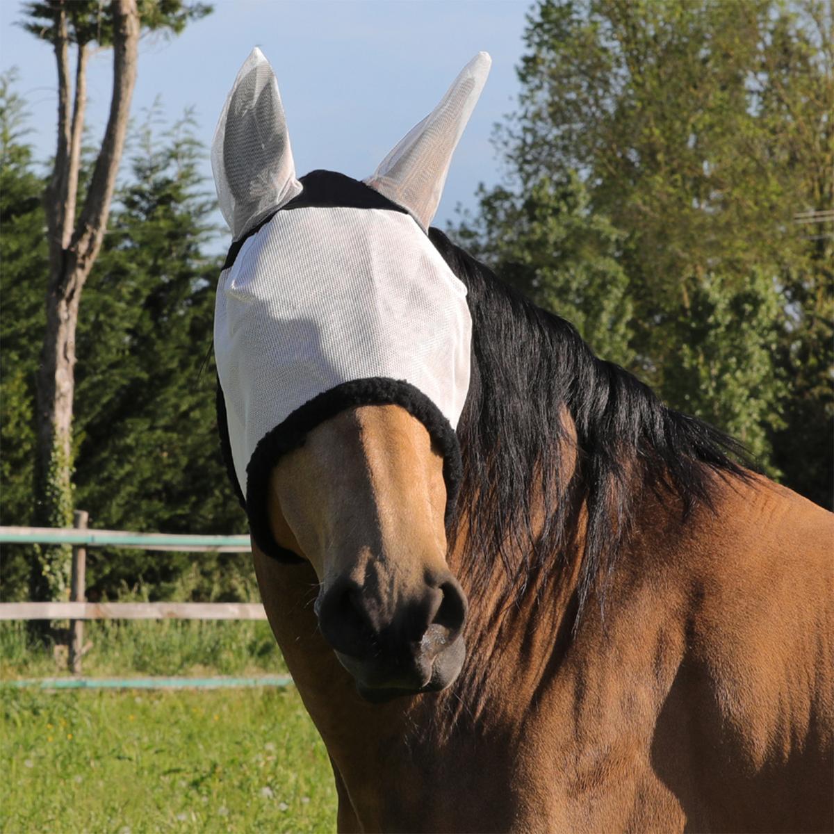 product/u/m/umbria-equitazione_ag00191a-white_white_1.jpg
