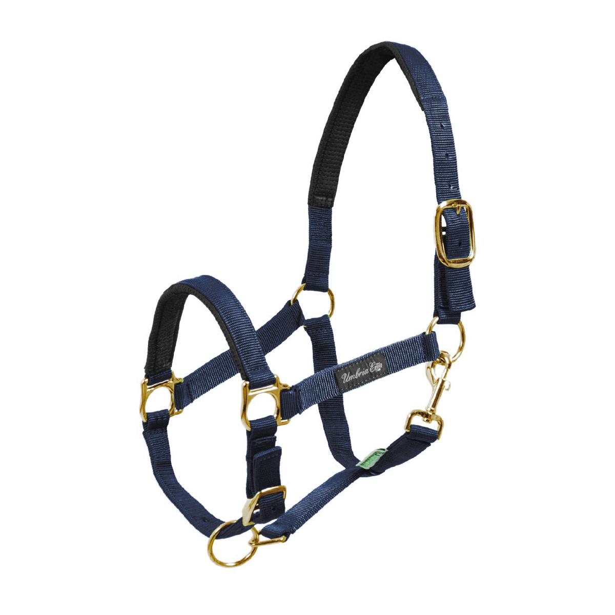 product/u/m/umbria-equitazione_ca00022-navy_ca00022-navy_1.jpg