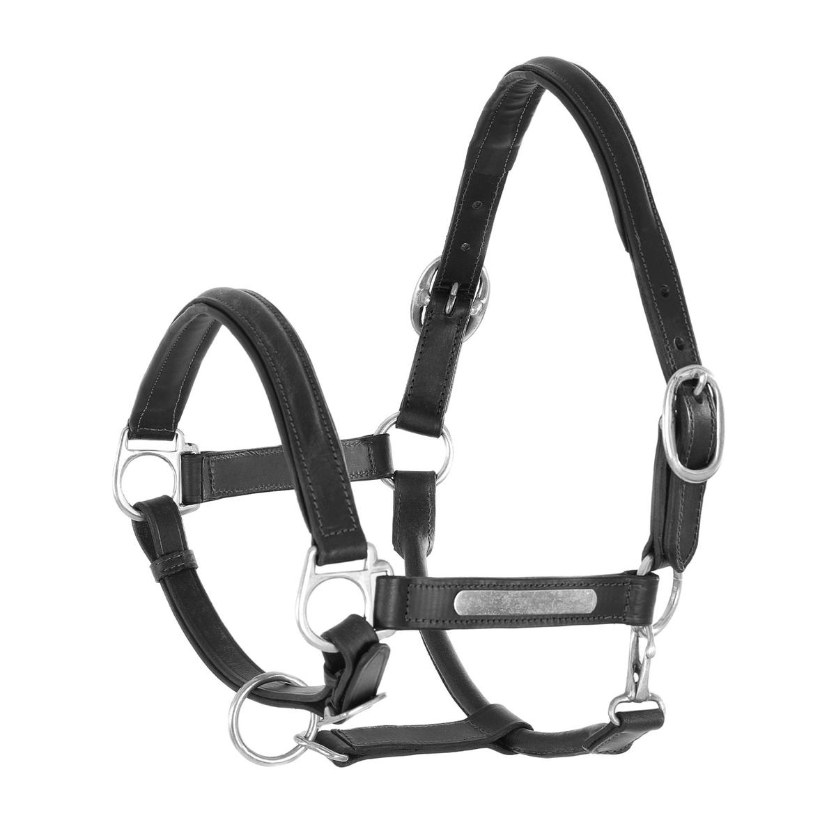 product/u/m/umbria-equitazione_ca00061-black_black_1.jpg