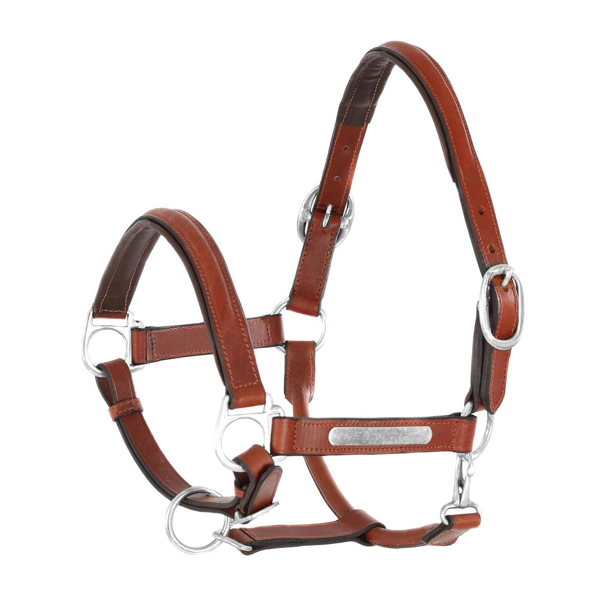 product/u/m/umbria-equitazione_ca00061-cognac_cognac_1.jpg