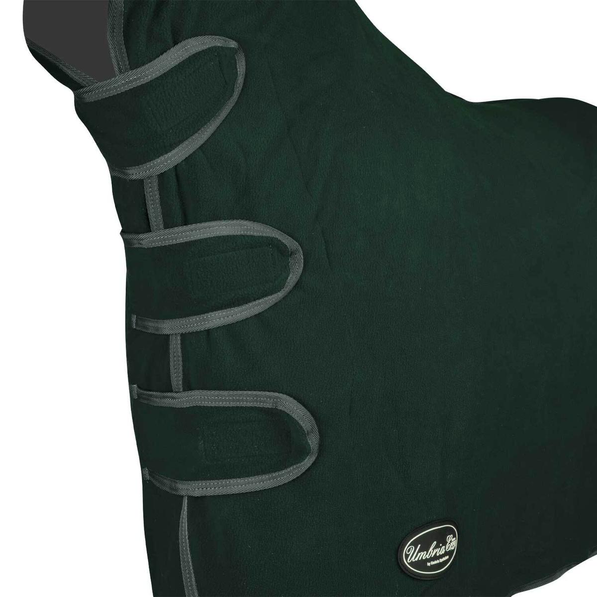 product/u/m/umbria-equitazione_co00053-green_green_4.jpg
