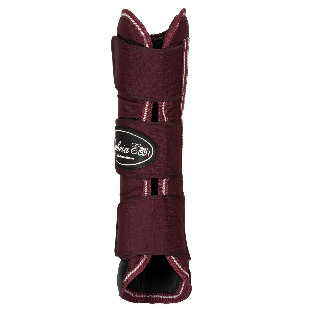 product/u/m/umbria-equitazione_pr00037-burgundy_burgundy_2.jpg