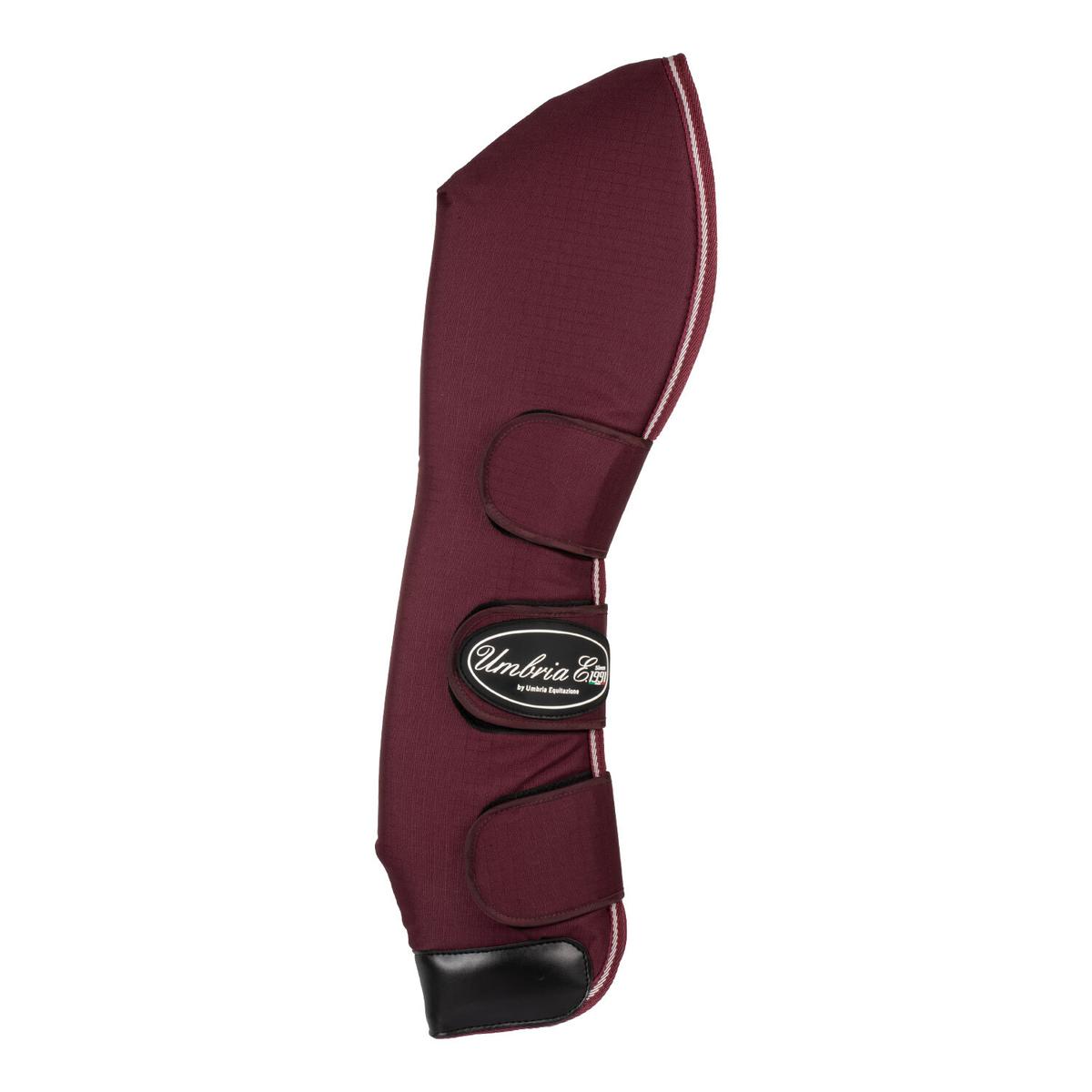 product/u/m/umbria-equitazione_pr00037-burgundy_burgundy_3.jpg