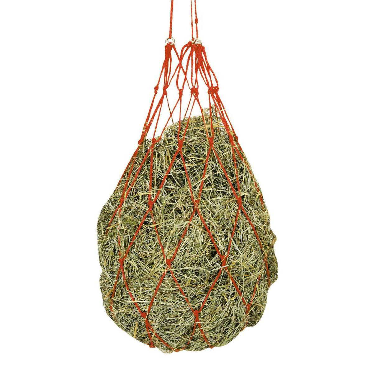 product/u/m/umbria-equitazione_va00371a-red_rouge_1.jpg