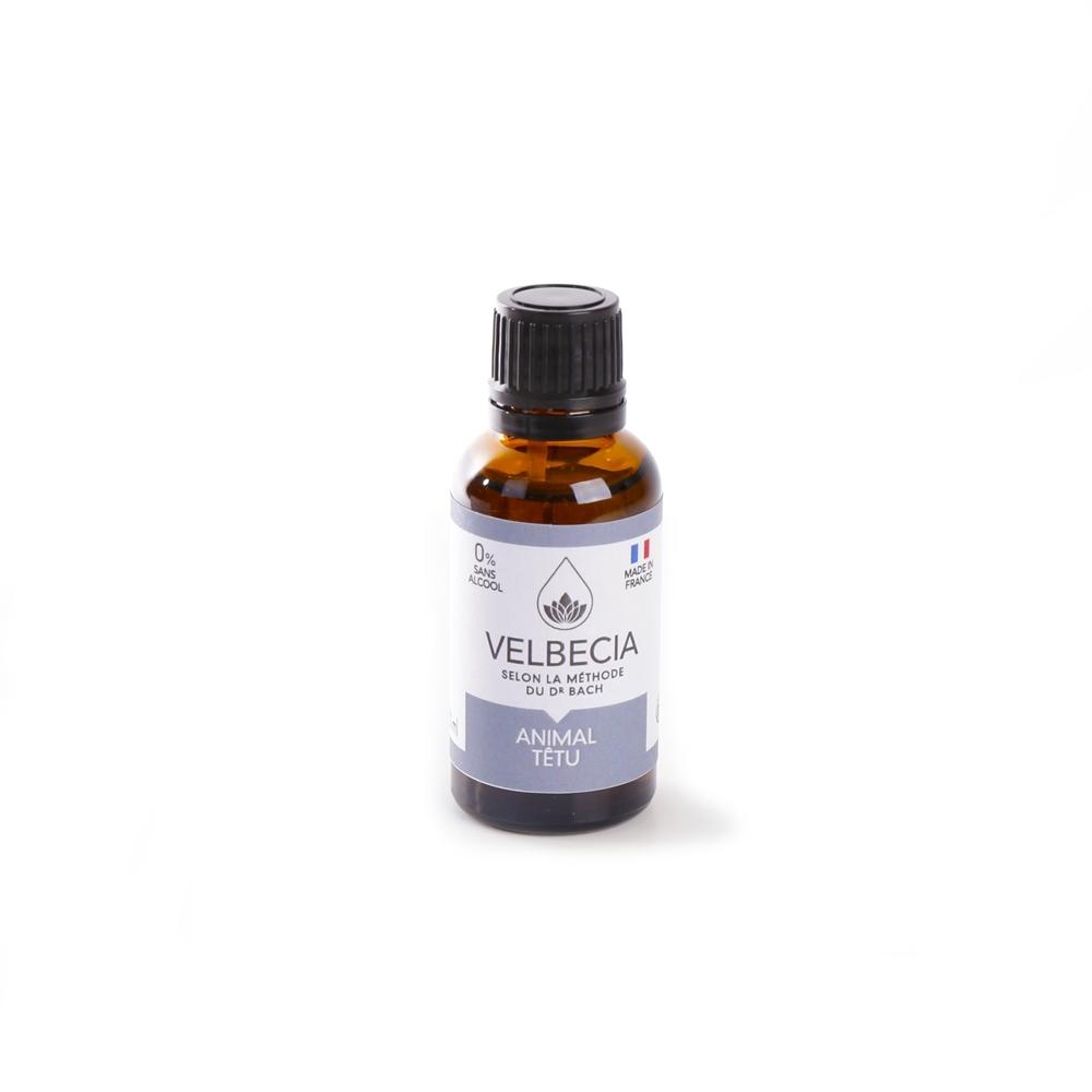 product/v/e/velbecia_3004561_0.jpg