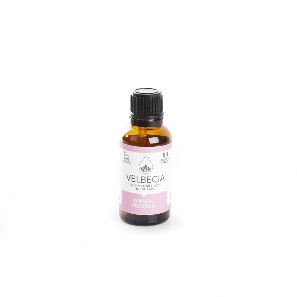 product/v/e/velbecia_3004572.jpg