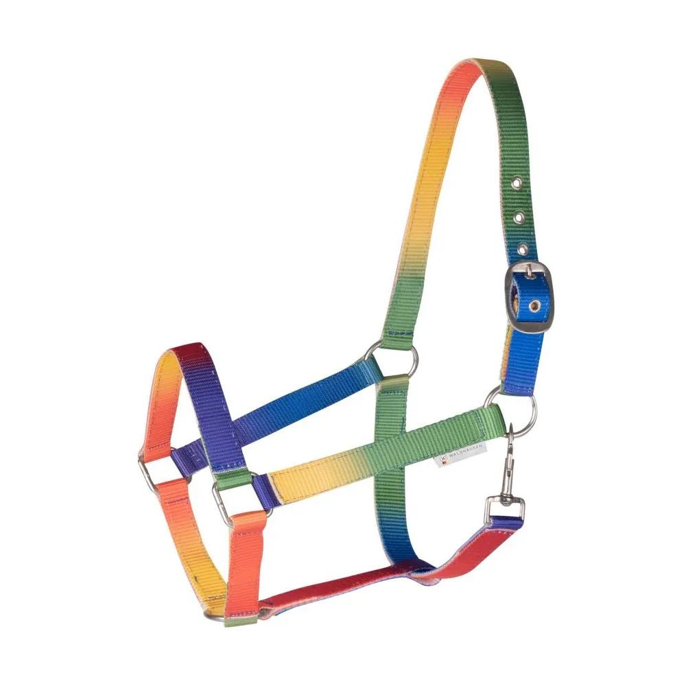 product/w/a/waldhausen_501099-wb_neon-multicolor_1.jpg