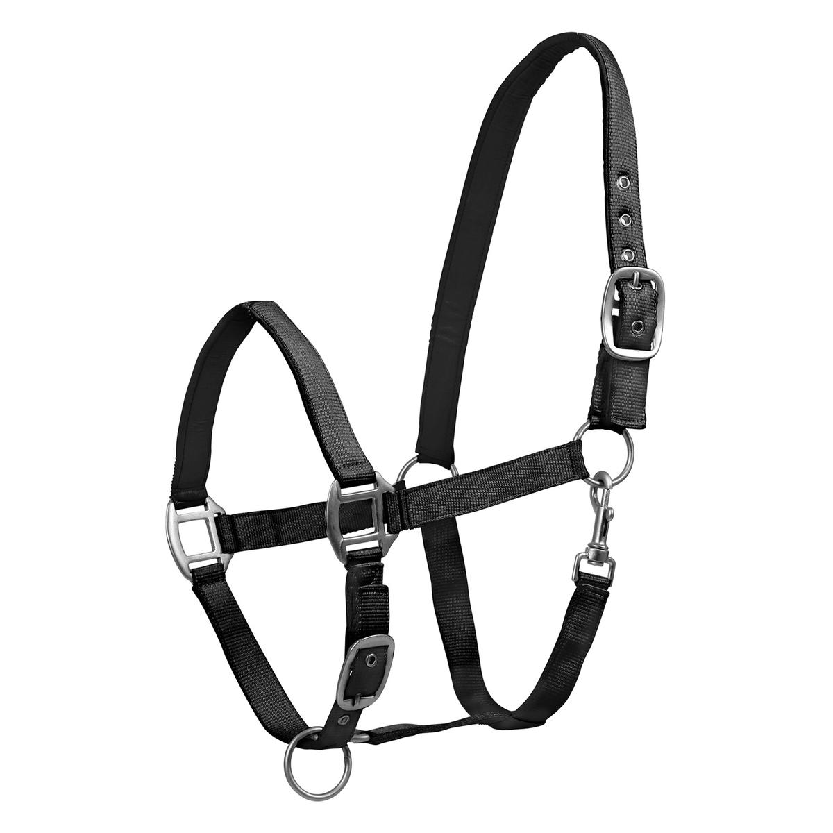 product/w/a/waldhausen_502501-sh_noir_1.jpg