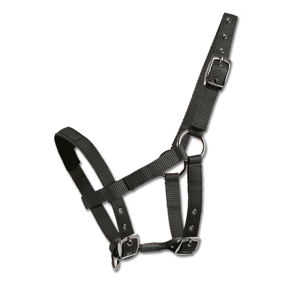 product/w/a/waldhausen_504501_noir_1.jpg