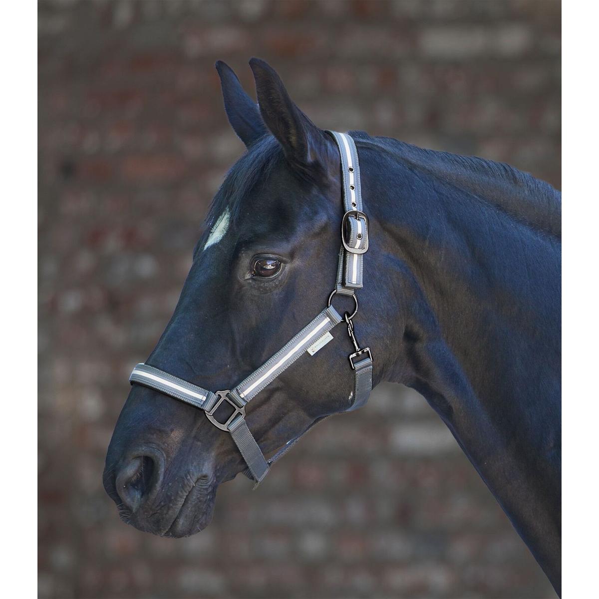 product/w/a/waldhausen_5048110-vb_gris_1.jpg