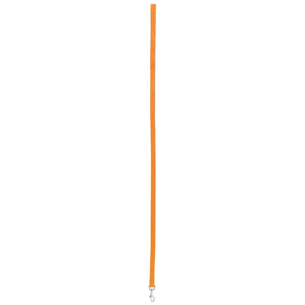 product/z/o/zolux_462020ora_orange-orange_1.jpg