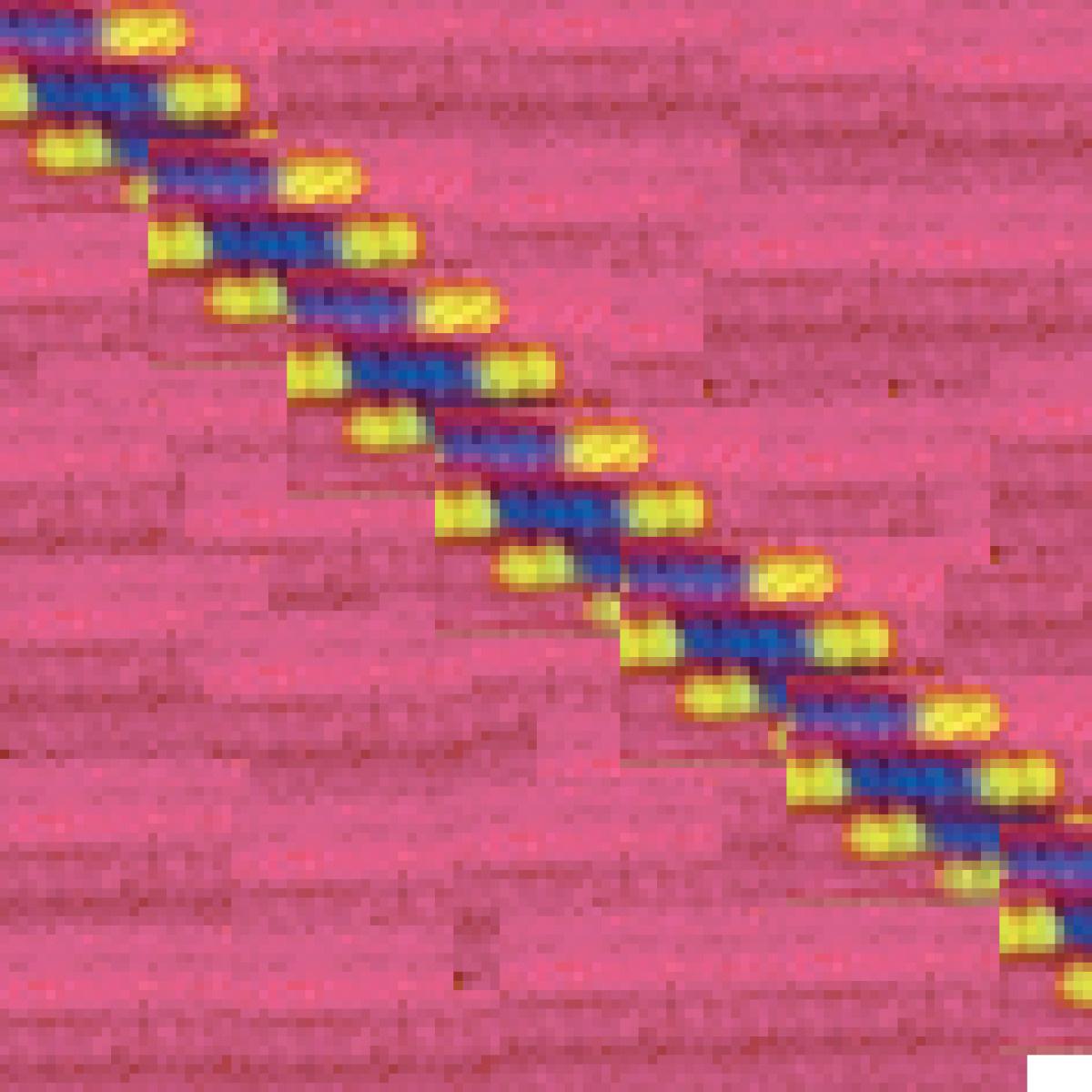 product/z/o/zolux_543720rs_4.jpg
