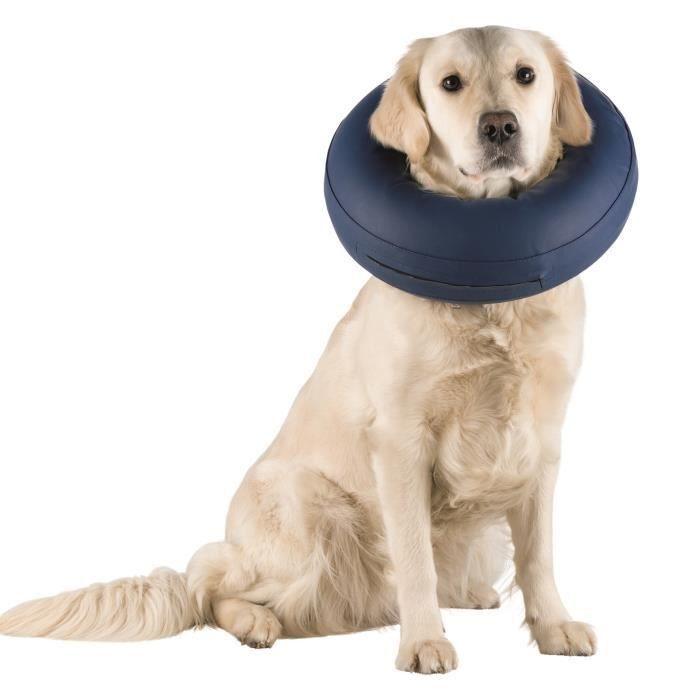 product/1/9/19545_1.jpg