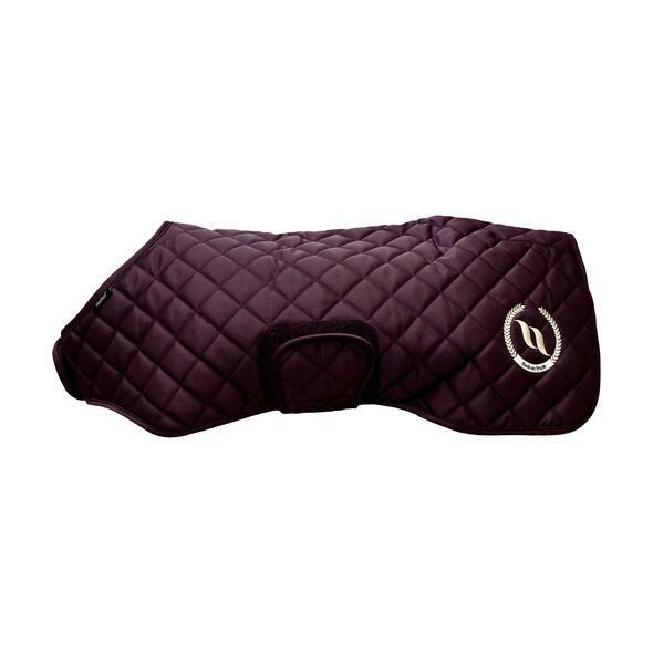 product/3/2/32031630_1.jpg
