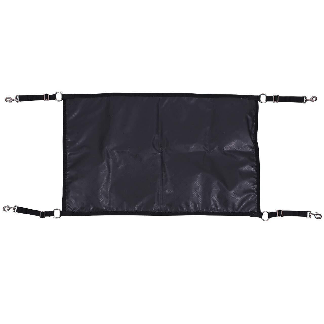 product/5/3/5313-ZW.jpg