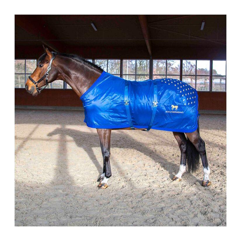 product/a/c/accuhorsemat_850010010400_1.jpg