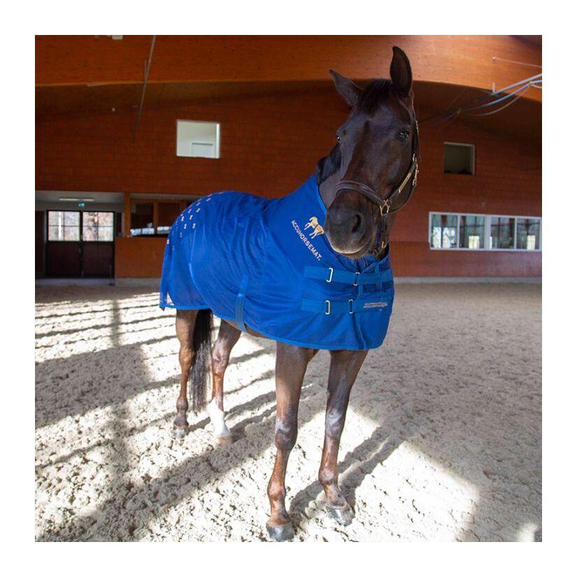 product/a/c/accuhorsemat_850020010400_1.jpg