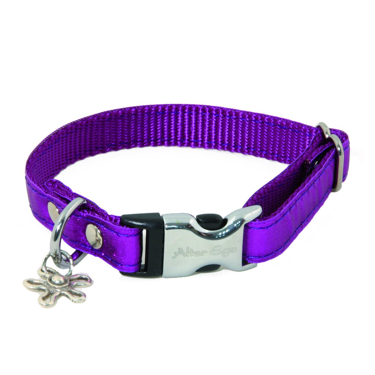 product/a/l/alter-ego_3009126_violet_1.jpg