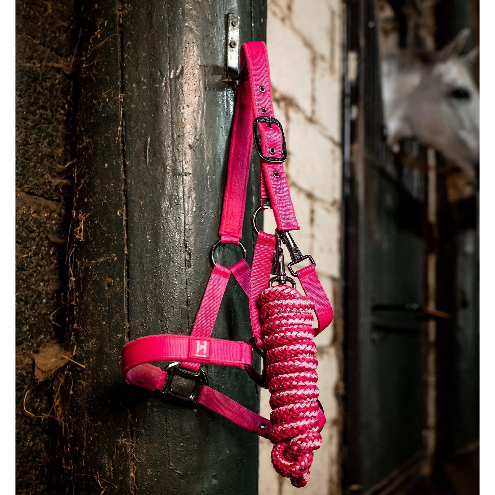 product/a/m/amigo_dhhx11-vrkz-co_witney-pink_2.jpg
