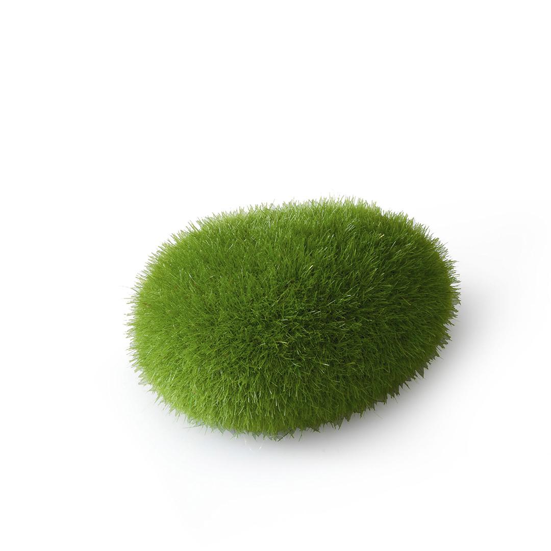 product/a/q/aqua-della_234-426470.jpg