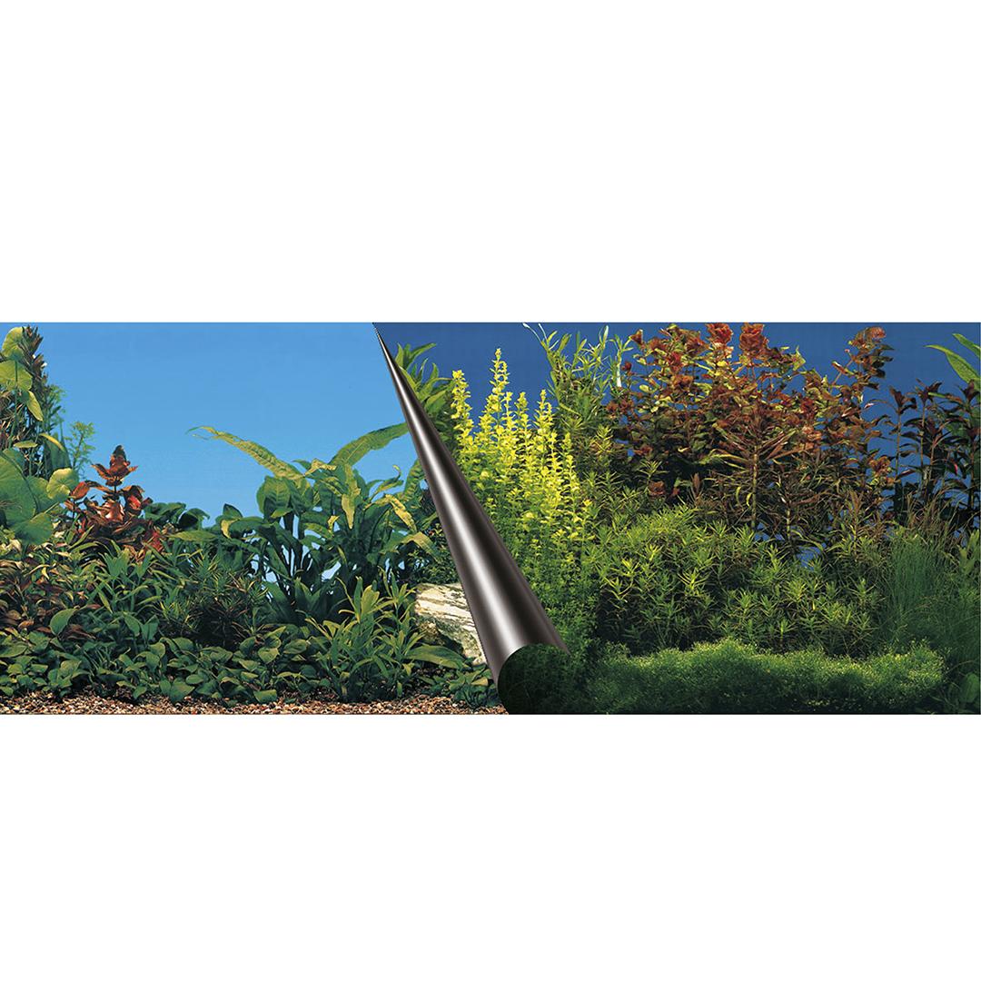 product/a/q/aqua-della_241-108871_4.jpg