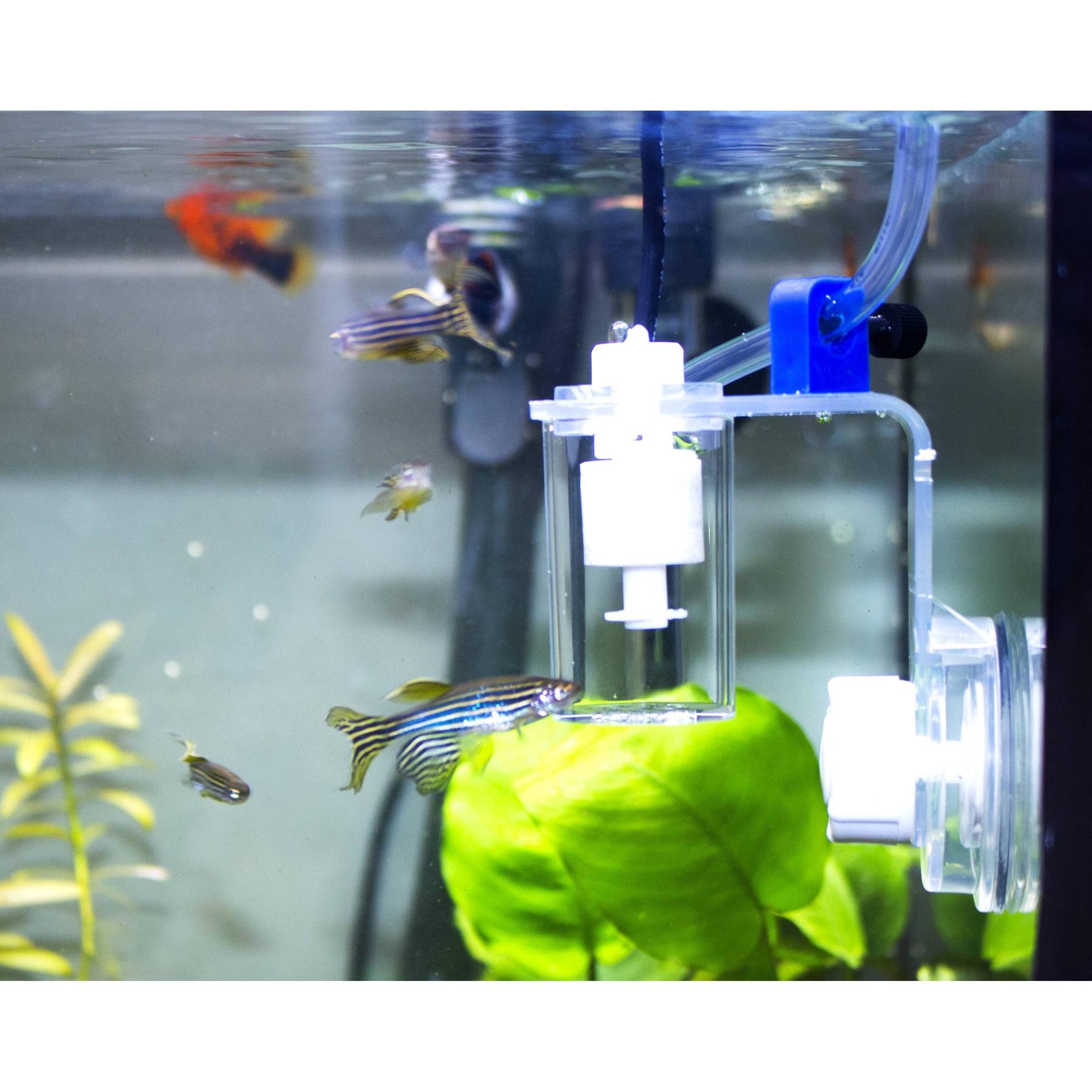 product/a/q/aquavie_av040871_blanc_3.jpg