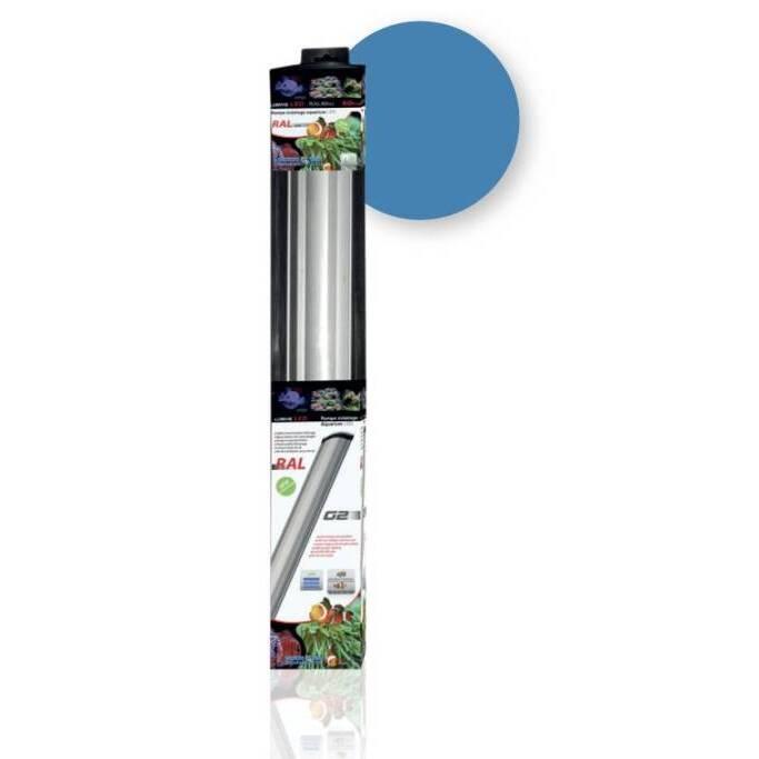 product/a/q/aquavie_av041418_bleu_1.jpg