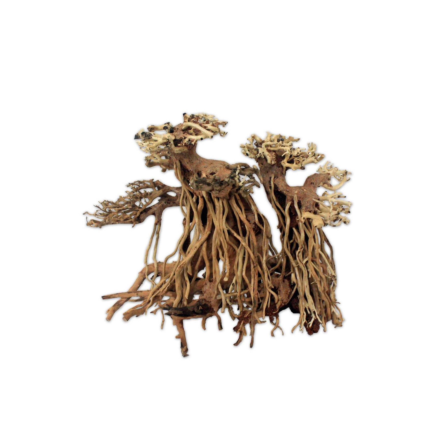 product/a/q/aquavie_av111297_marron_2.jpg