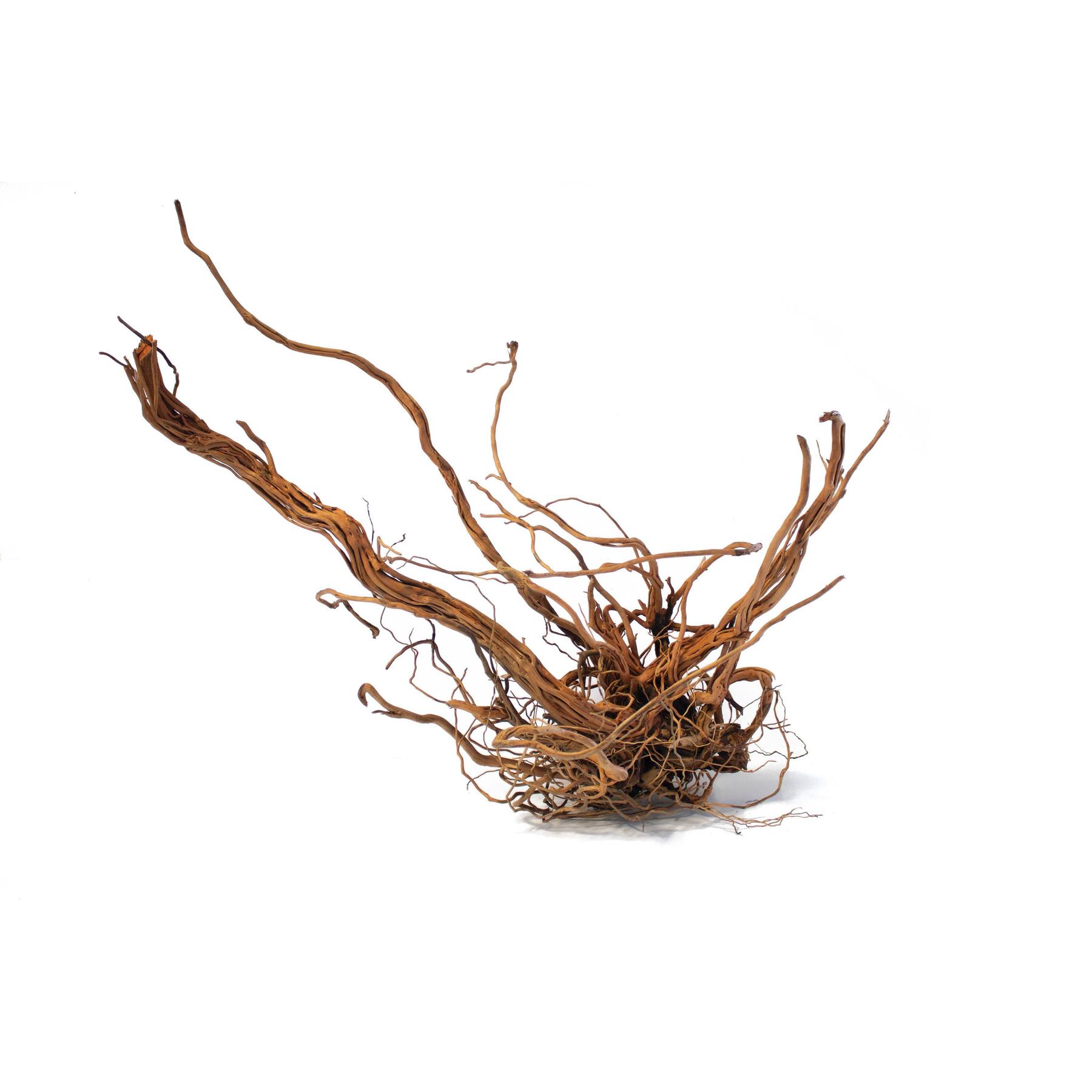 product/a/q/aquavie_av111525_marron_1.jpg