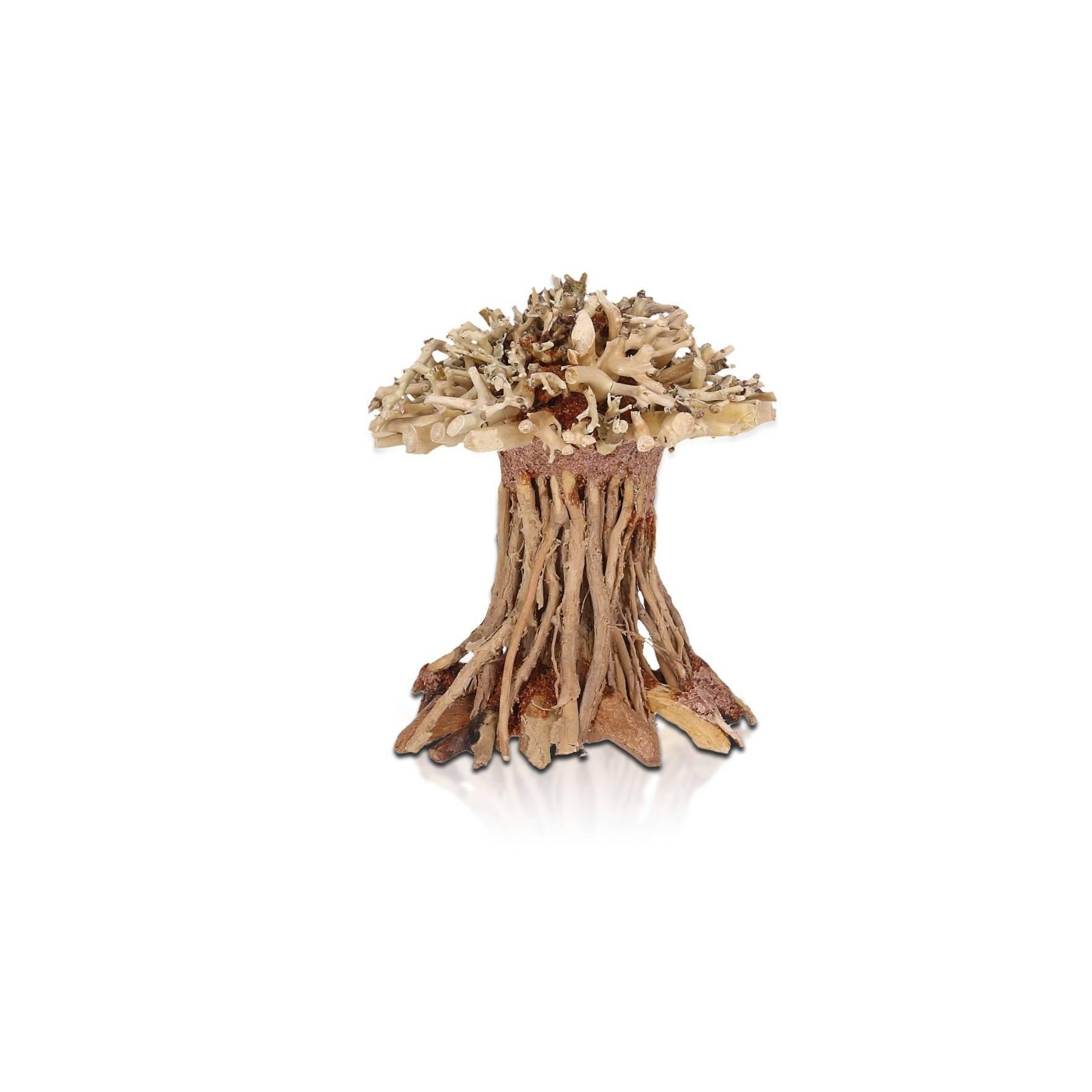 product/a/q/aquavie_av111532_marron-brown_1.jpg
