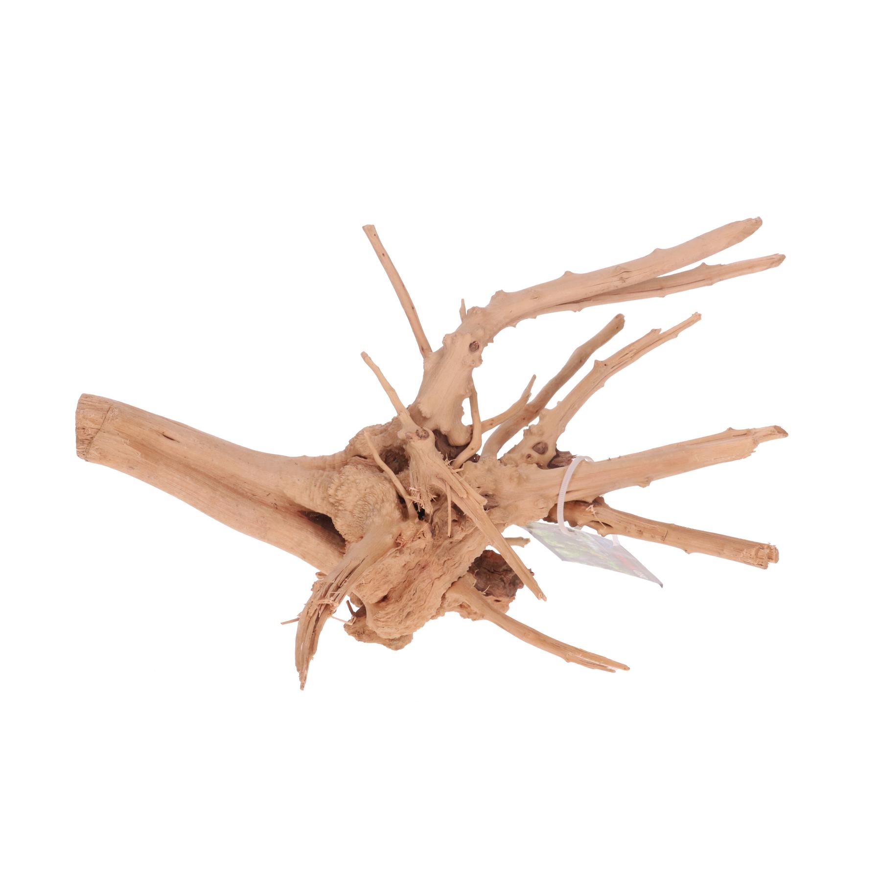 product/a/q/aquavie_av211683_marron_1.jpg