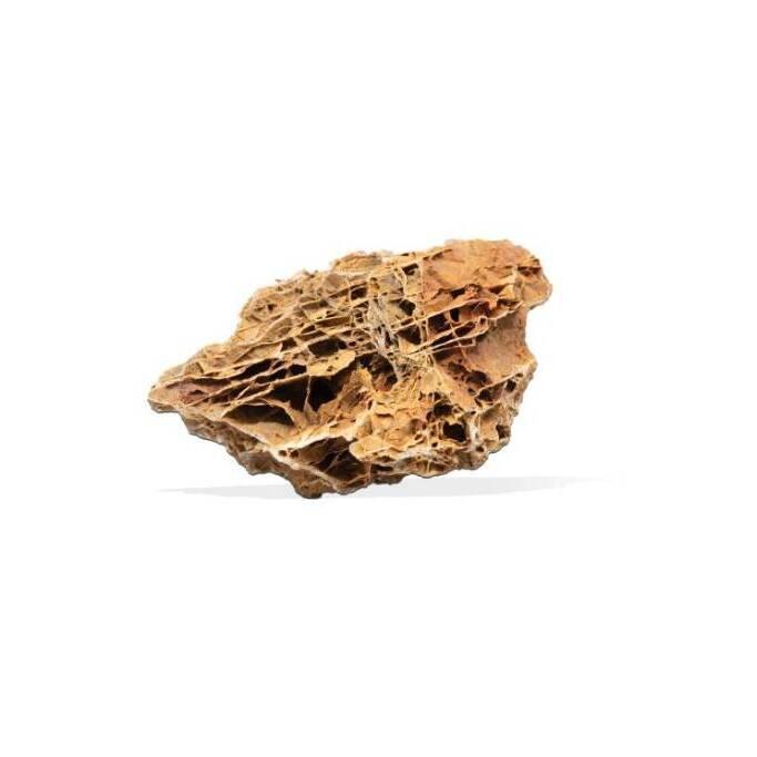 product/a/q/aquavie_av4040_orange_1.jpg