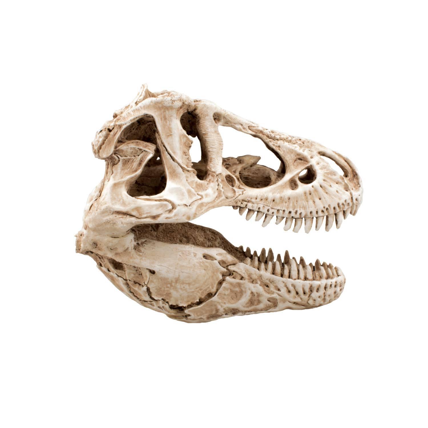 product/a/q/aquavie_av4731_blanc_1.jpg