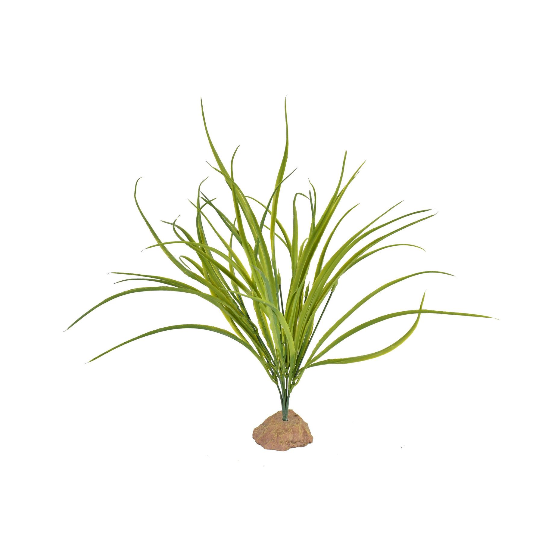 product/a/q/aquavie_av4772_vert_1.jpg