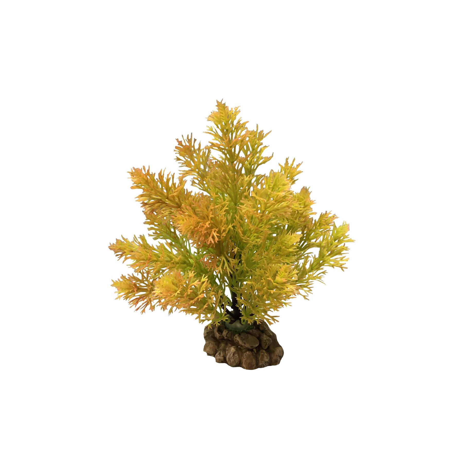 product/a/q/aquavie_av4773_jaune_1.jpg
