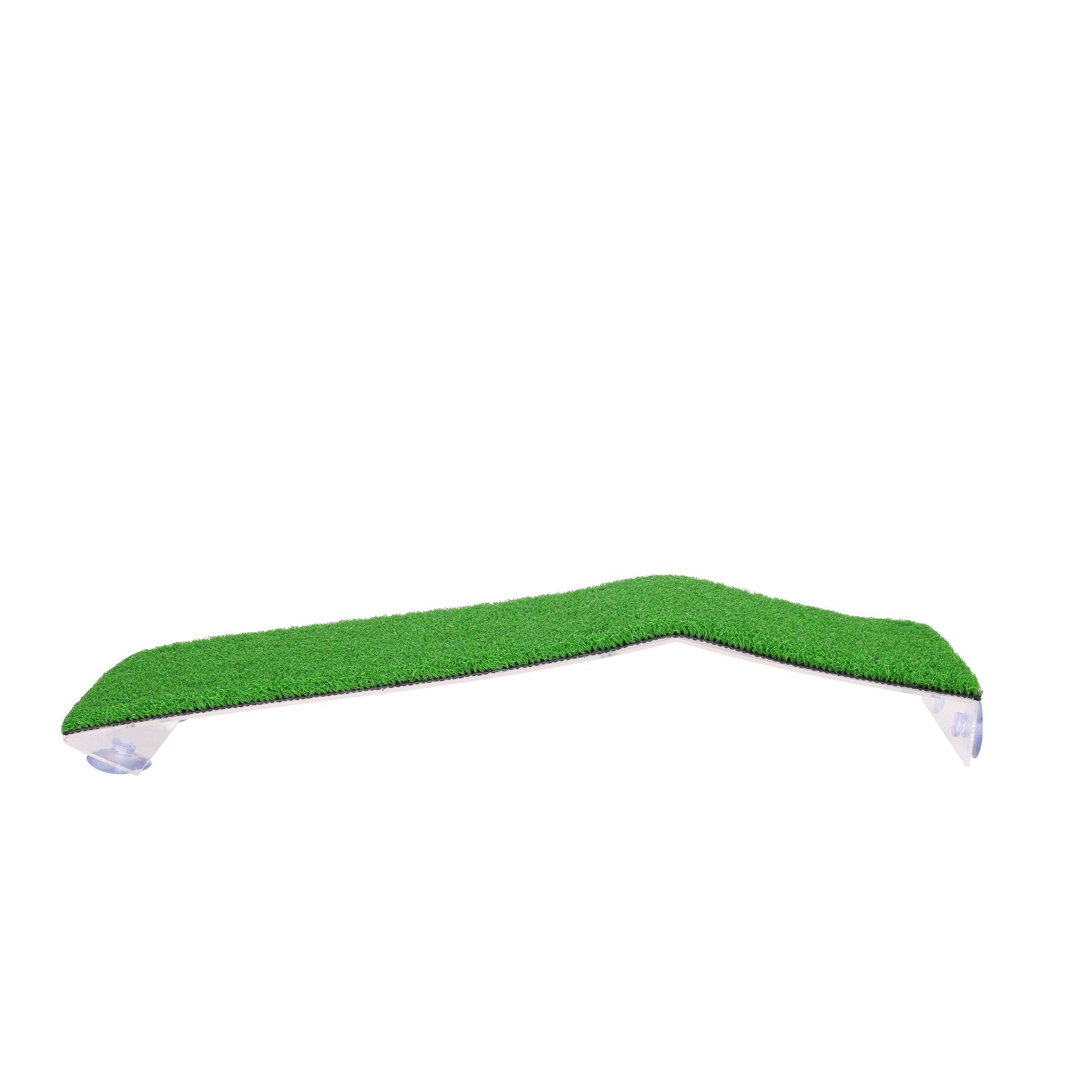 product/a/q/aquavie_av4931_green_1.jpg