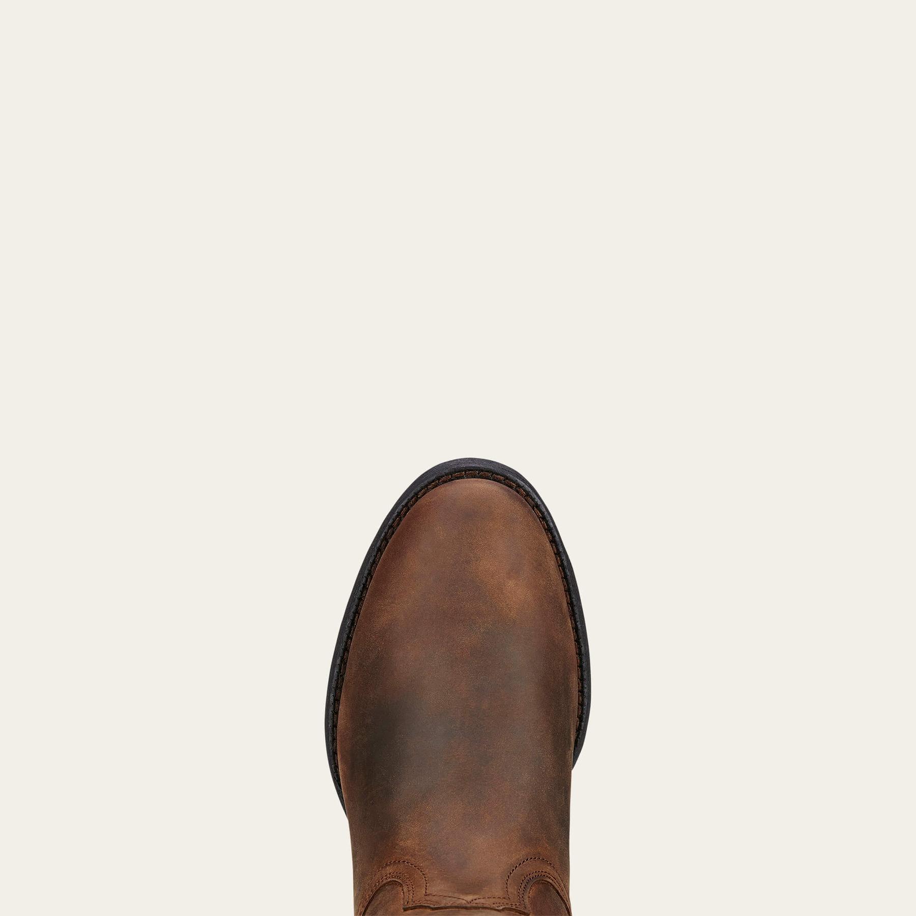 product/a/r/ariat_10000797_2.jpg
