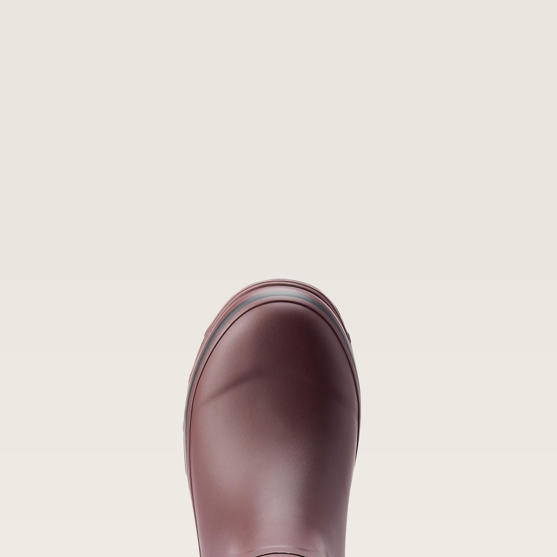 product/a/r/ariat_10044595_2.jpg