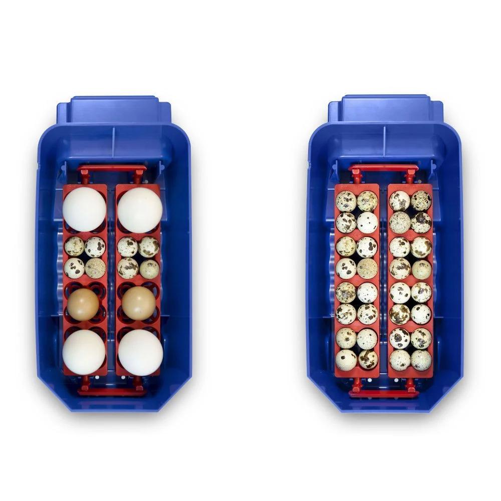 product/b/o/borotto_530300008_bleu_5.jpg