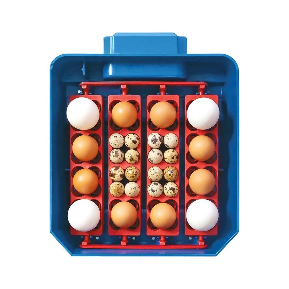 product/b/o/borotto_530300016_bleu_2.jpg