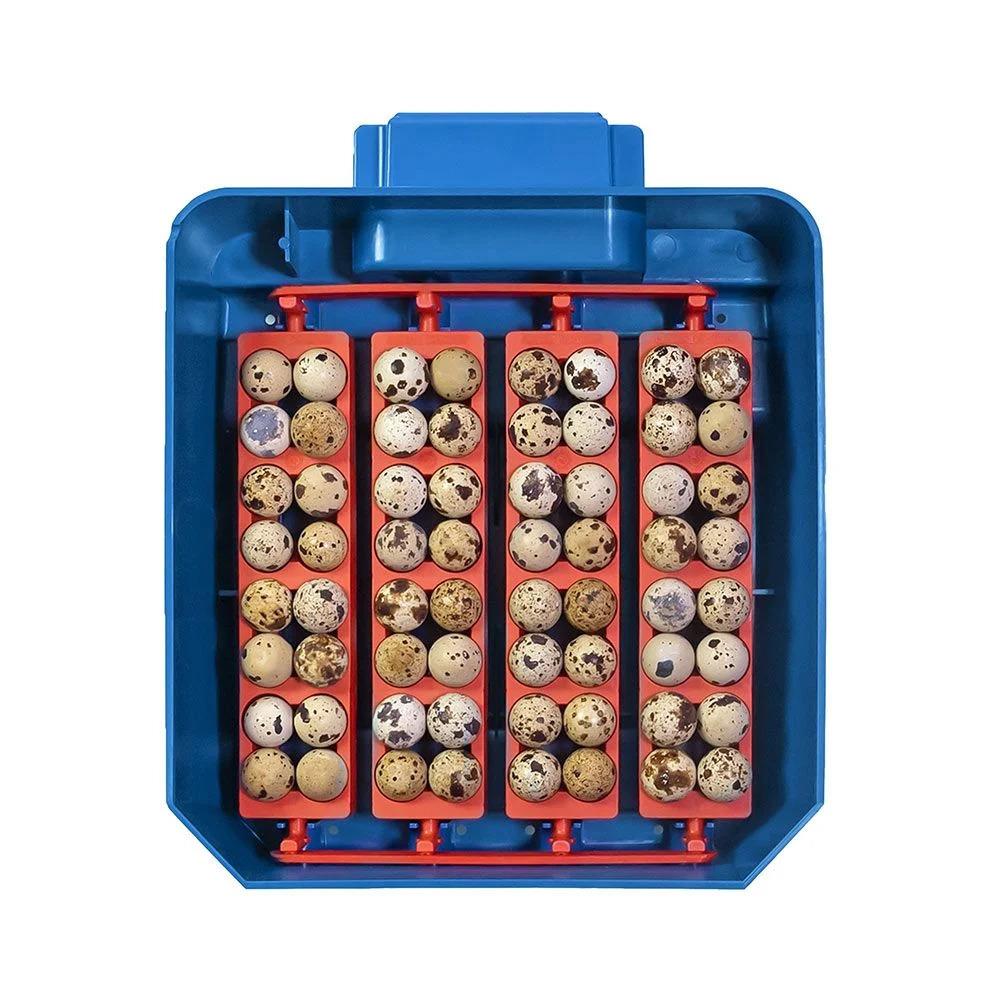 product/b/o/borotto_530300016_bleu_5.jpg
