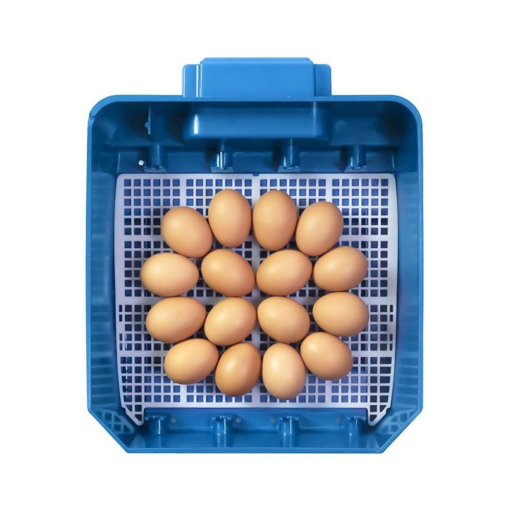 product/b/o/borotto_530300016_bleu_6.jpg