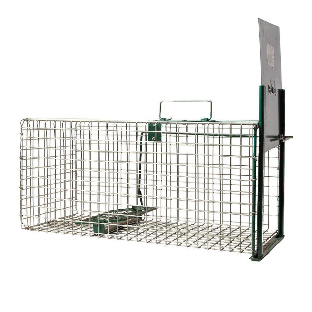 product/b/o/boxtrap_129701502020_argente-vert_2.jpg