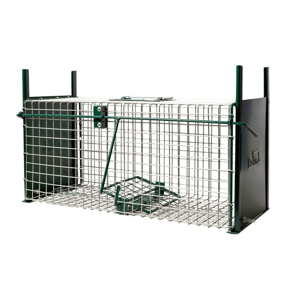 product/b/o/boxtrap_129702502020_argente-vert_1.jpg
