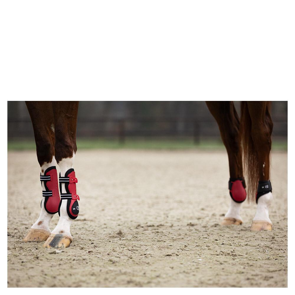 product/b/r/br-equitation_296139-r0038-50_crimson_4.jpg