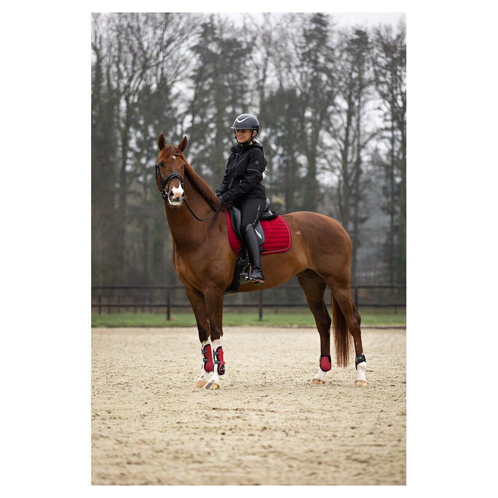 product/b/r/br-equitation_296139-r0038-50_crimson_5.jpg