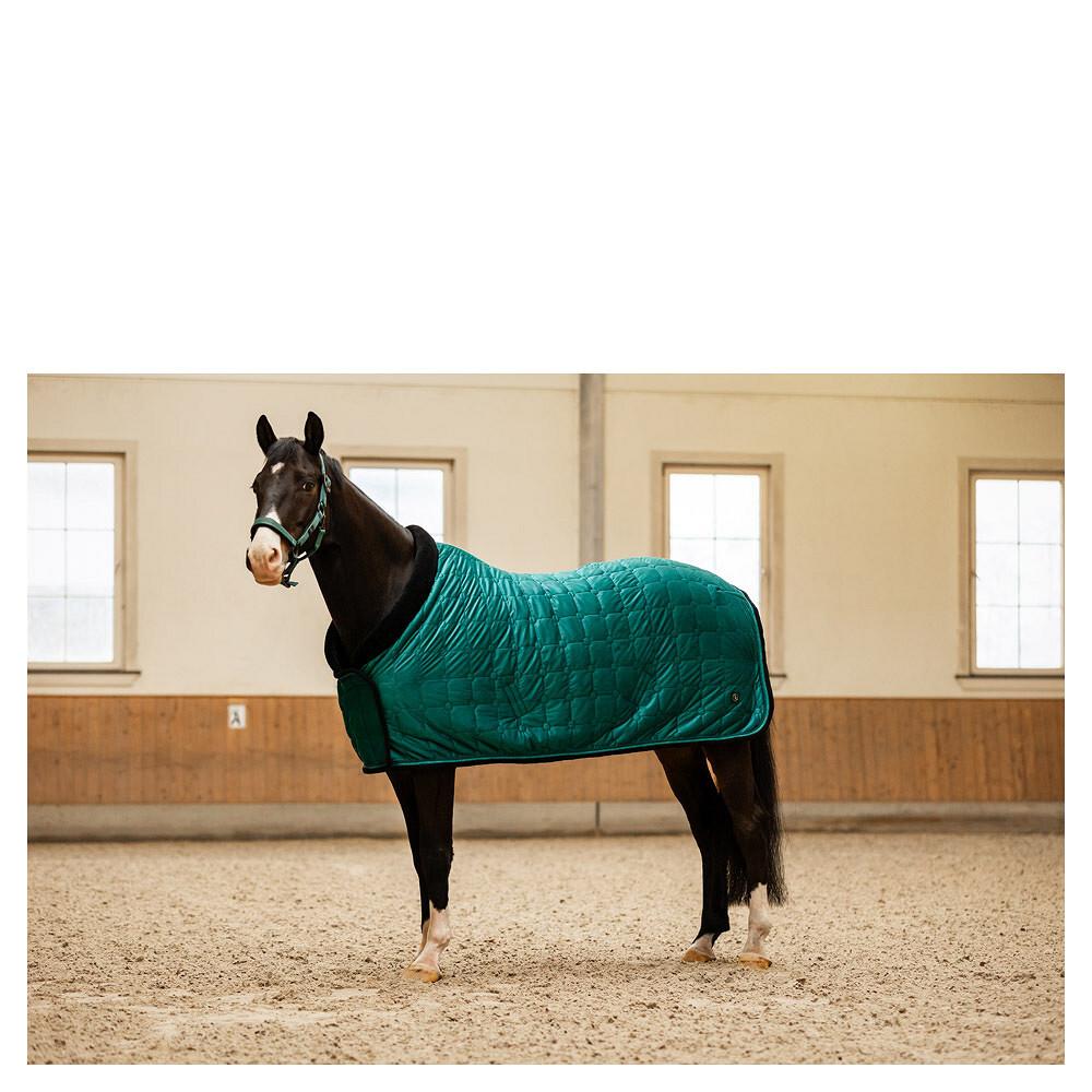 product/b/r/br-equitation_380260-g1061-75_sea-spine_4.jpg