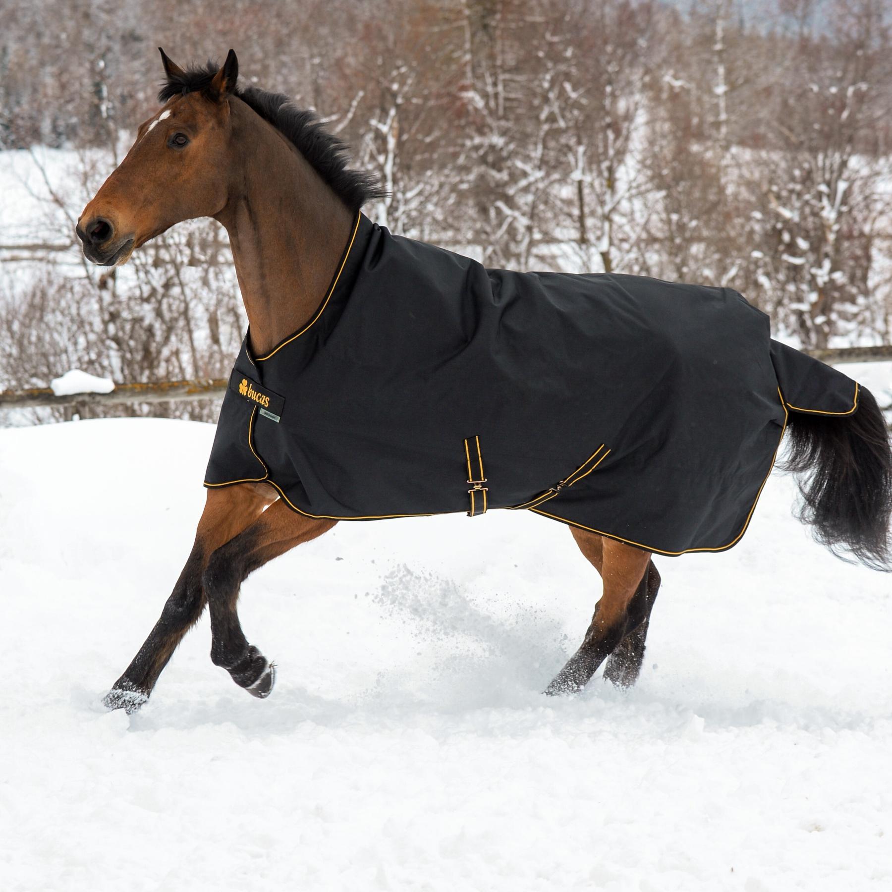 product/b/u/bucas_32315-22_black-gold_3.jpg