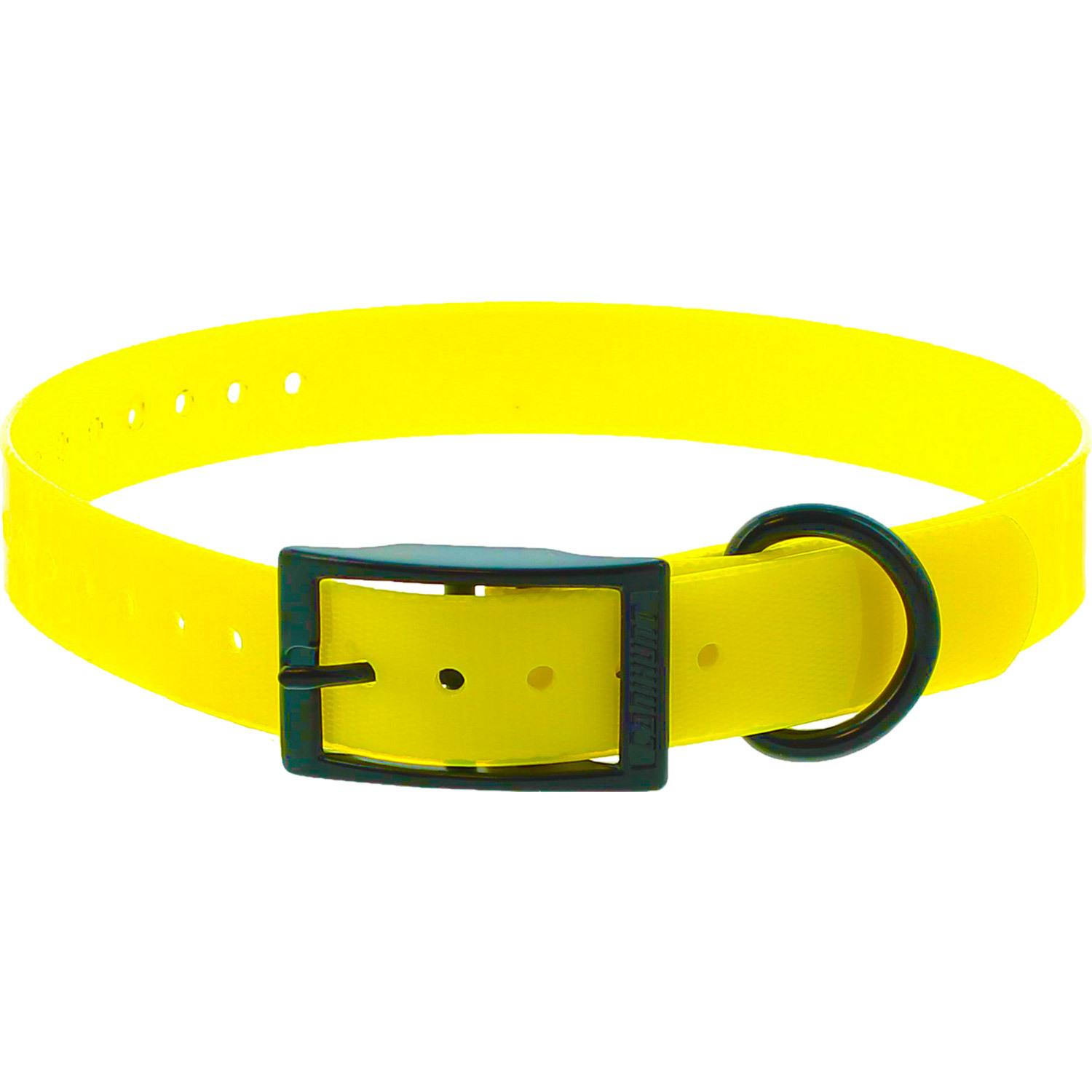product/c/a/canihunt_c121901_jaune_1.jpg